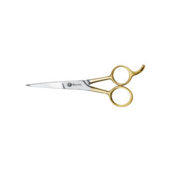 HouseHold Scissor
