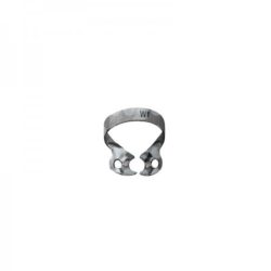 Wingless 2519-W1